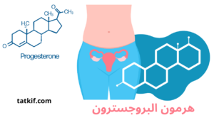 Read more about the article هرمون البروجسترون : اكتشف دوره في الحياة الإنجابية للمرأة