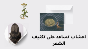 Read more about the article أعشاب تساعد على تكثيف الشعر: 7 أعشاب رائعة لتتقيل الشعر