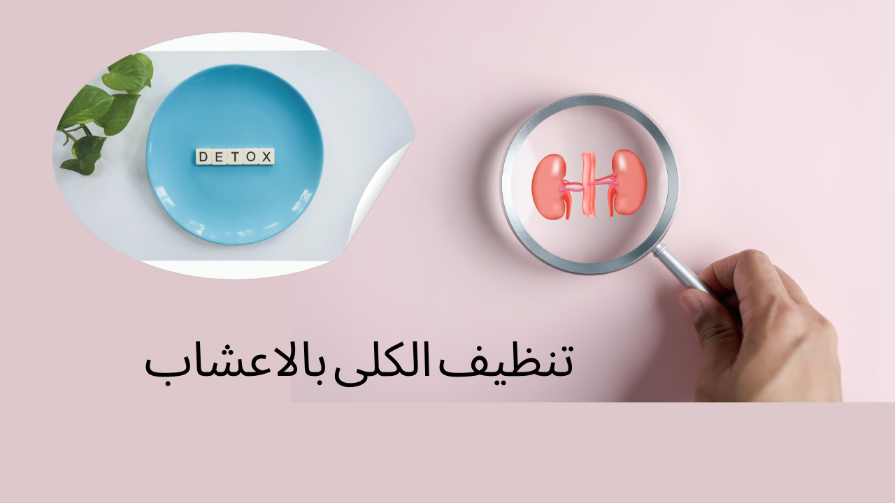 Read more about the article تنظيف الكلى بالاعشاب : أفضل أعشاب لتصفية الكلى