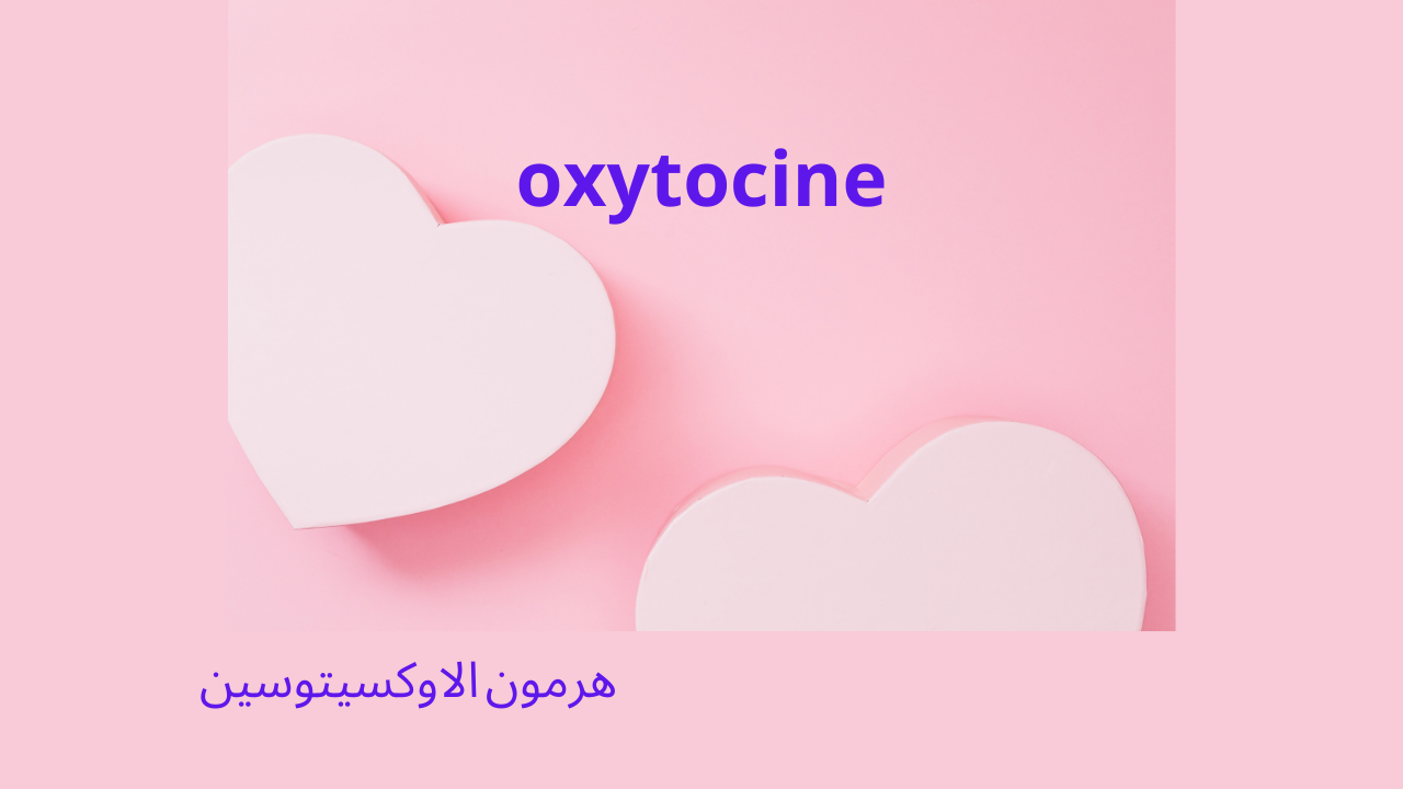 Read more about the article ماهو الاوكسيتوسين : تعرف على أسرار هرمون الاوكستوسين